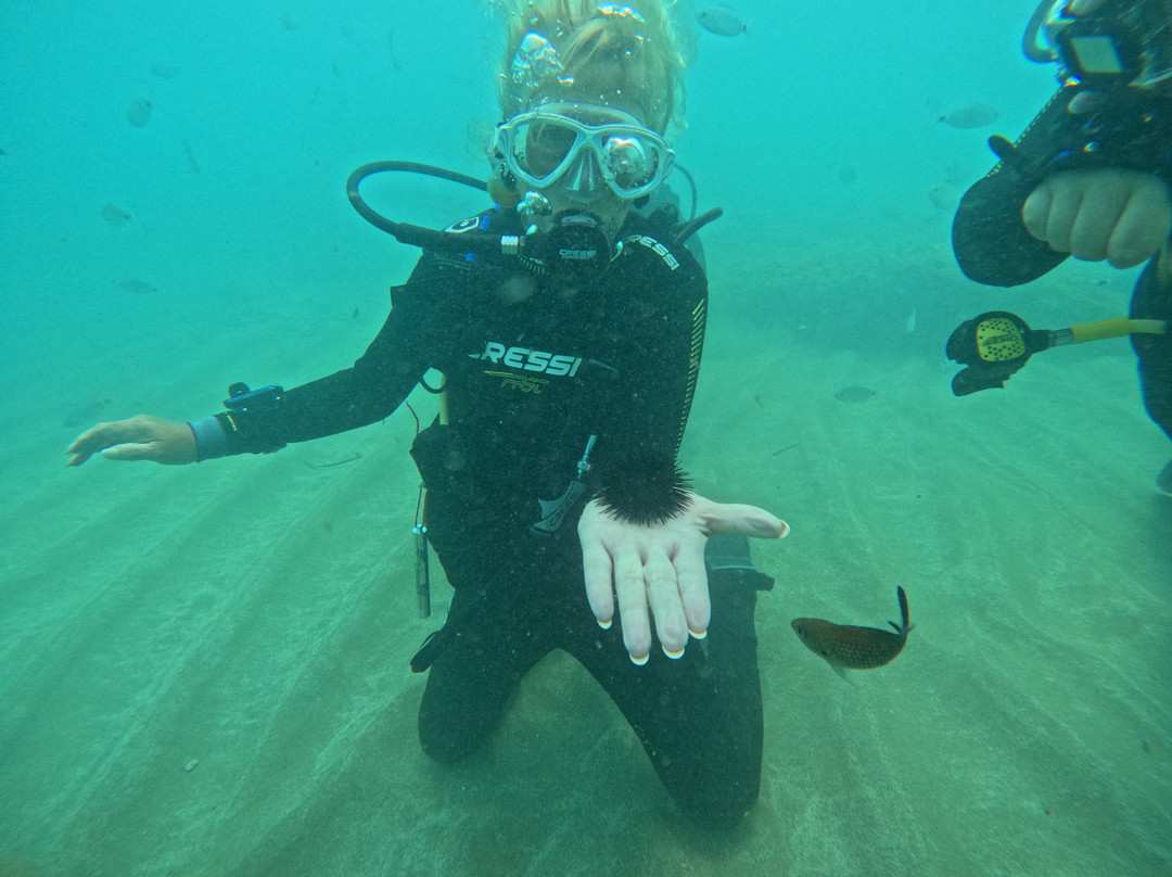 Discovery diving center-赫索尼索斯必去景点