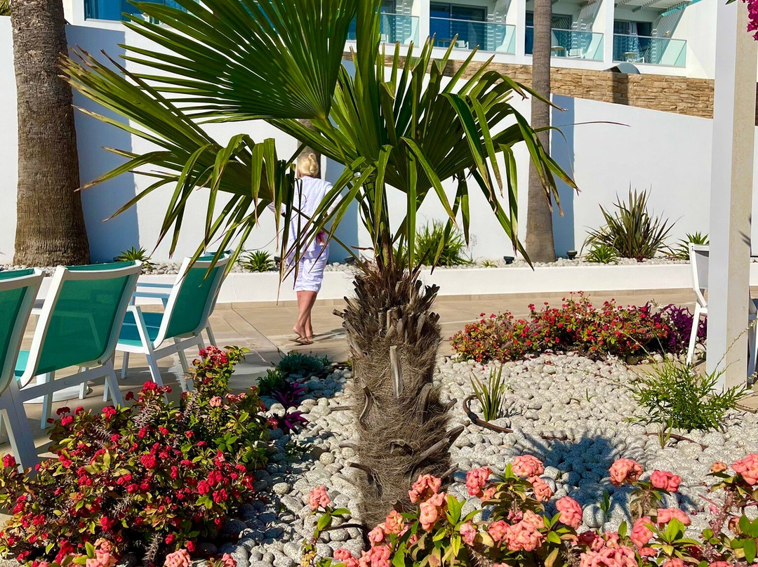 Kos4all Tours-Kós必去景点