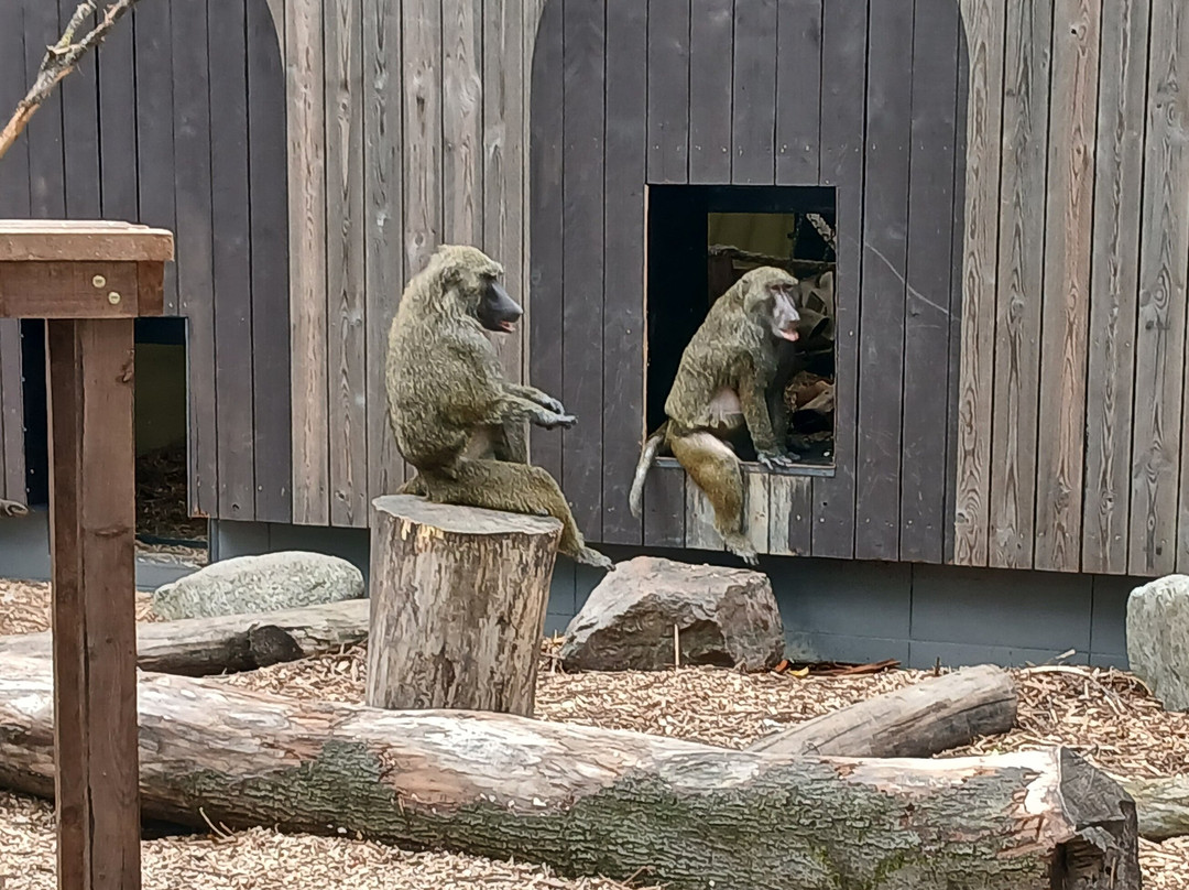 Zoopark Kaunas-考那斯必去景点