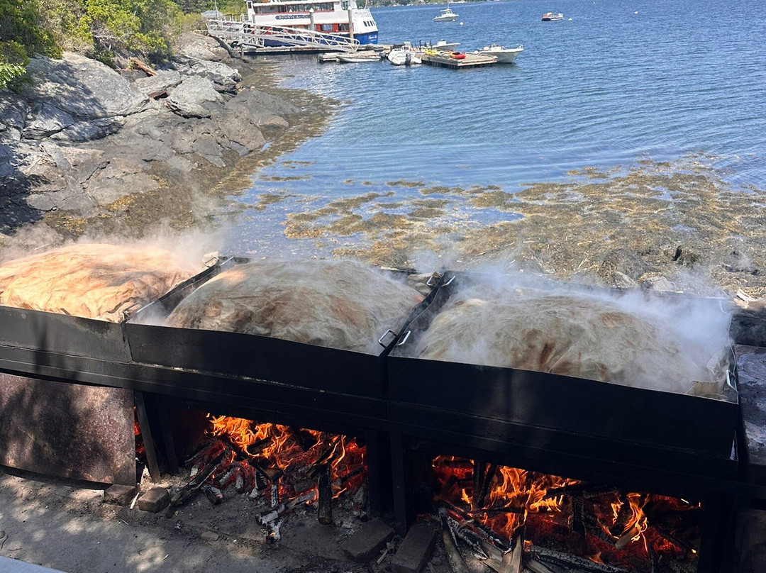 Cabbage Island-布斯贝港必去景点