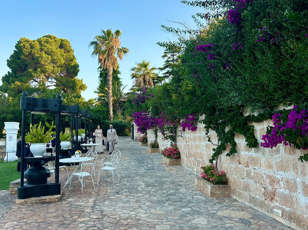 Masseria Montalbano主图