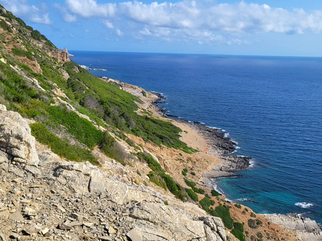 Punta Bassano景点图片