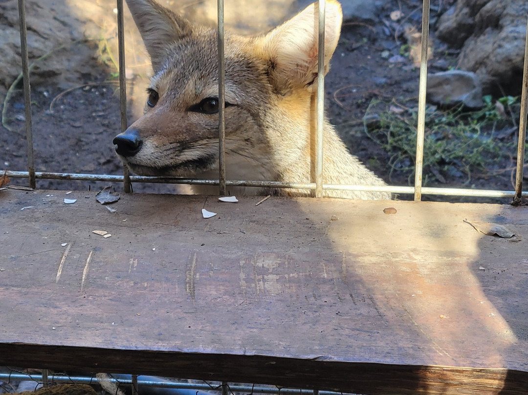 Refugio Animal Cascada-圣若泽迈坡必去景点