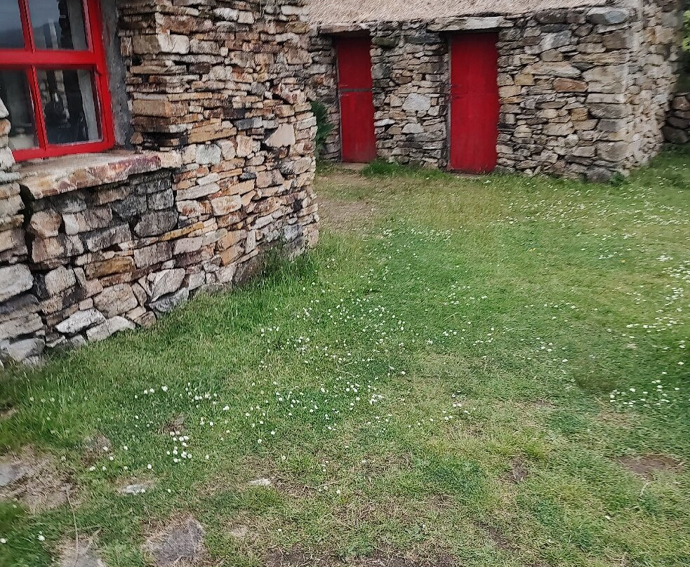 Dan O'Hara's Homestead Farm-戈尔韦郡必去景点