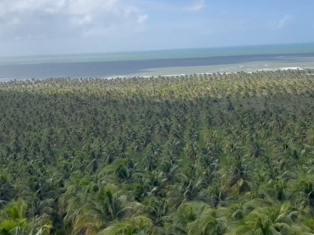 Praia do Gunga-Maceio必去景点