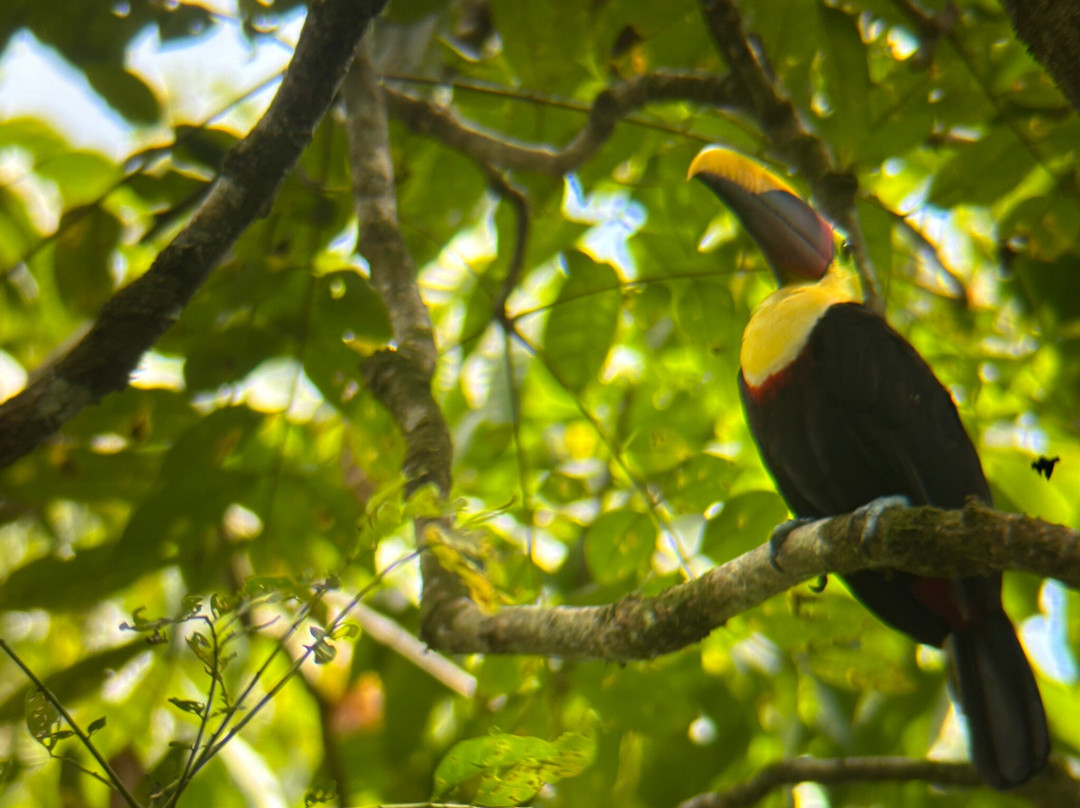 Crocodile Bay-希门尼斯港必去景点