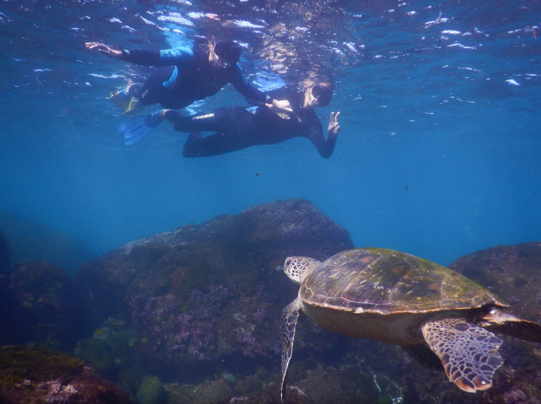 Watersports Guru-Kingscliff必去景点