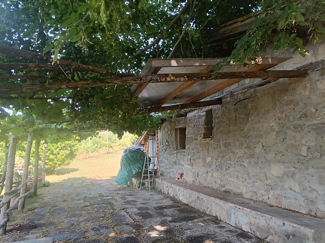 Agriturismo Podere Asche主图