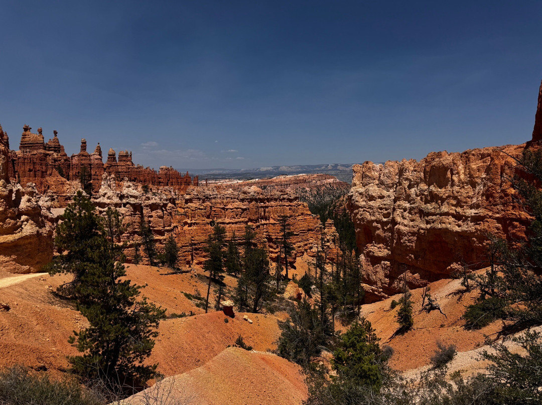 Red Canyon Trail Rides-布莱斯峡谷国家公园必去景点