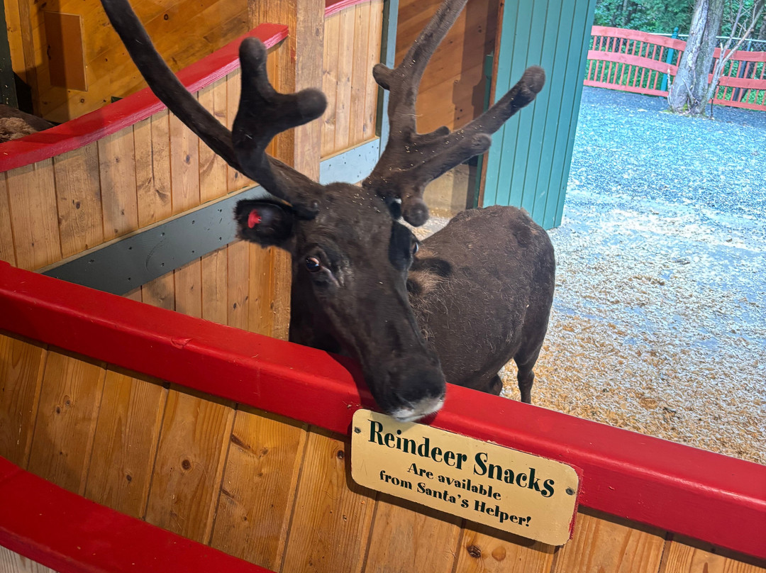 Santa's Village-Jefferson必去景点