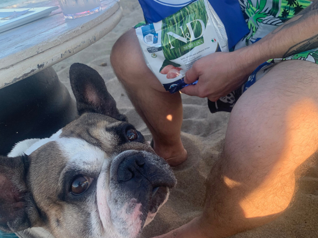 Soleluna Lido-San Cataldo必去景点