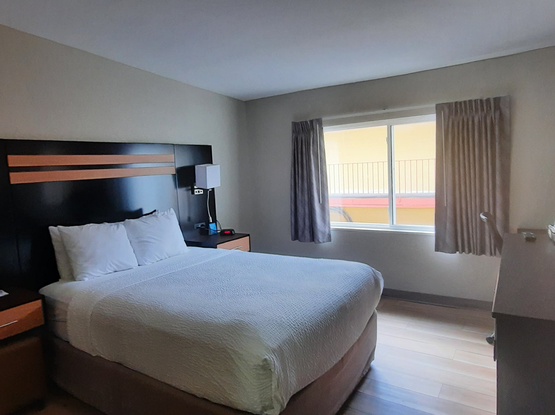 阿尔巴尼纽约州立大学（SUNY）戴斯酒店主图