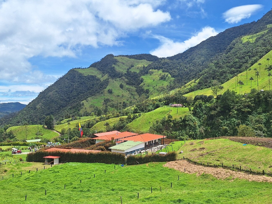 Valle De Cocora-萨伦托必去景点