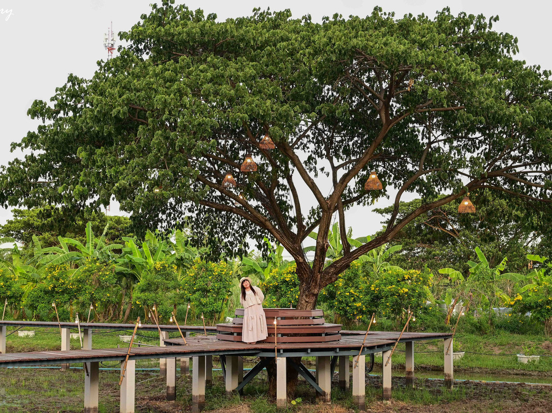 卡瓦利卡萨度假村主图