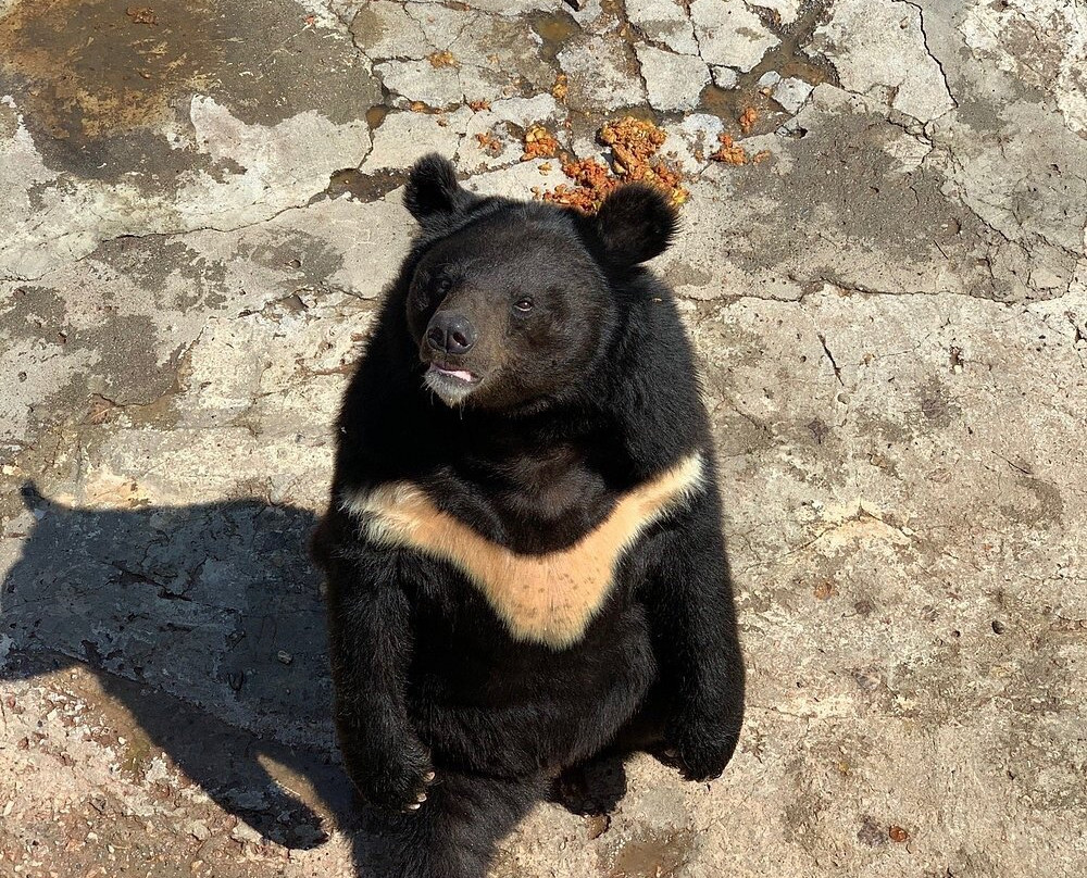 Yerevan Zoo-埃里温必去景点