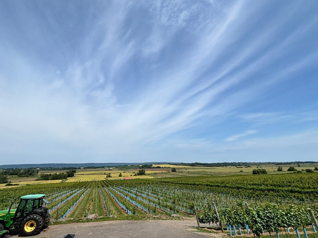 1365 Church Street Vineyard An Winery-Port Williams必去景点