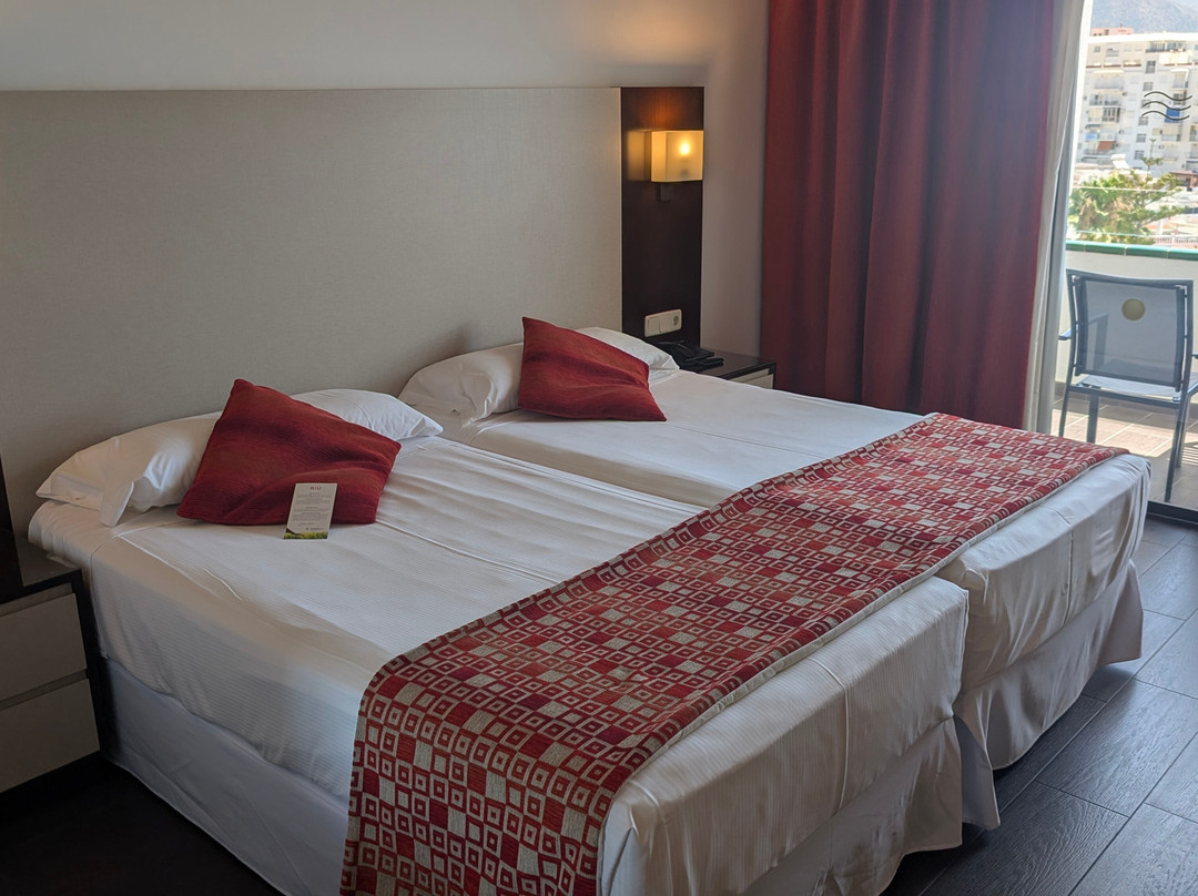 Hotel Riu Monica主图