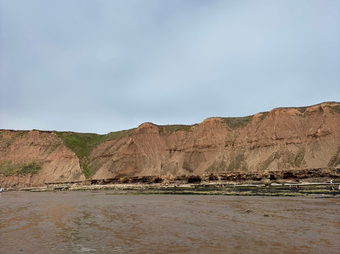 Filey Brigg-Filey必去景点
