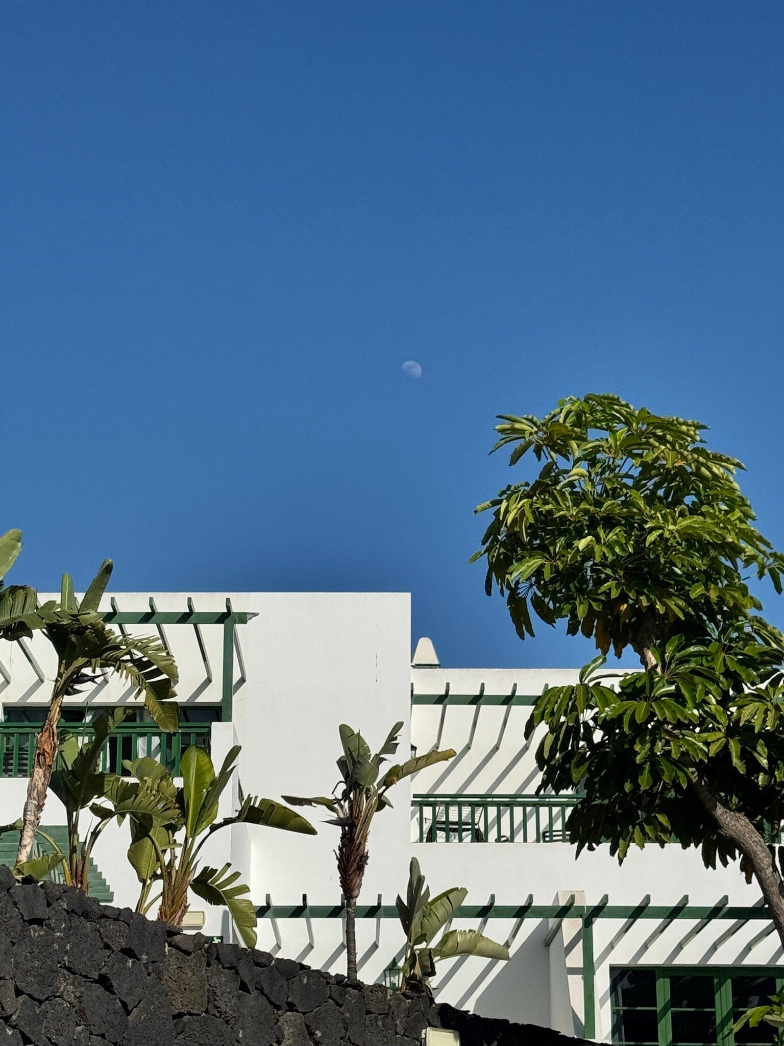 Caybeach Sun-官方