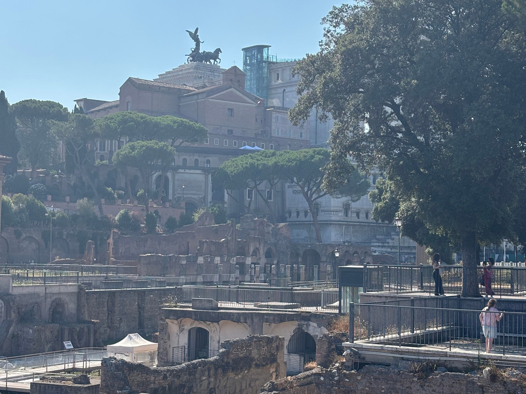Skip the Line - Colosseum, Roman Forum, and Palatine Hill Tour-罗马必去景点