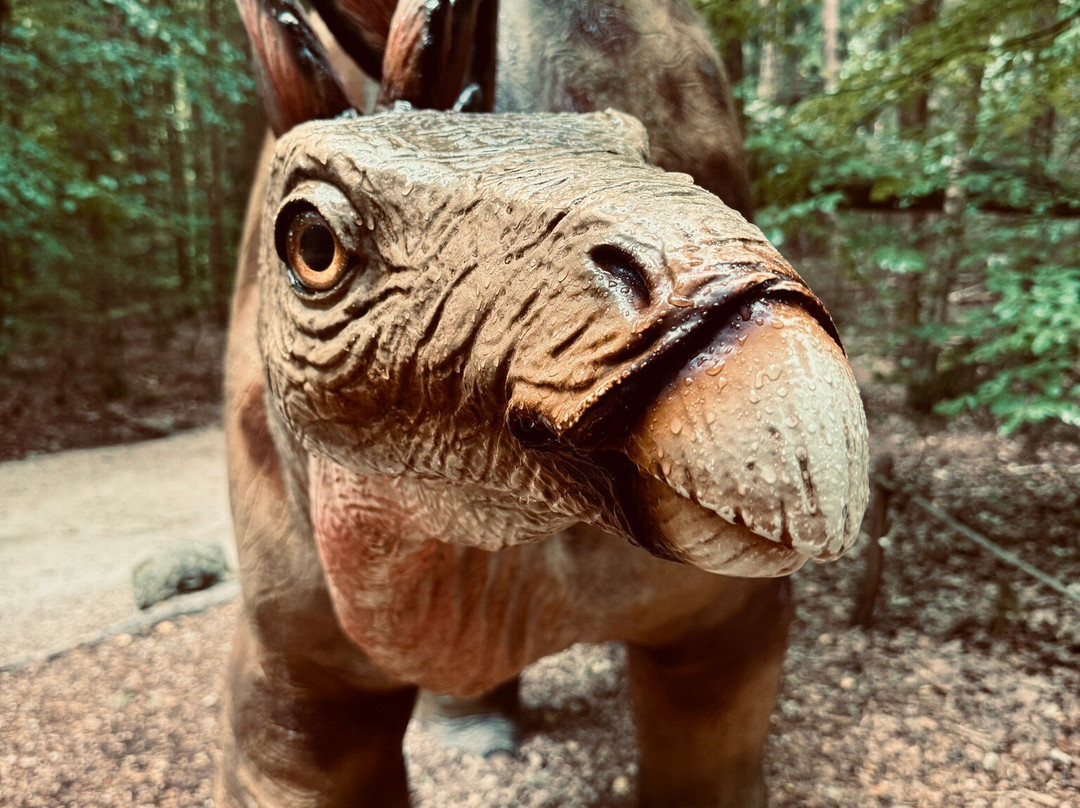 Dinosaurier Museum Altmühltal-Denkendorf必去景点