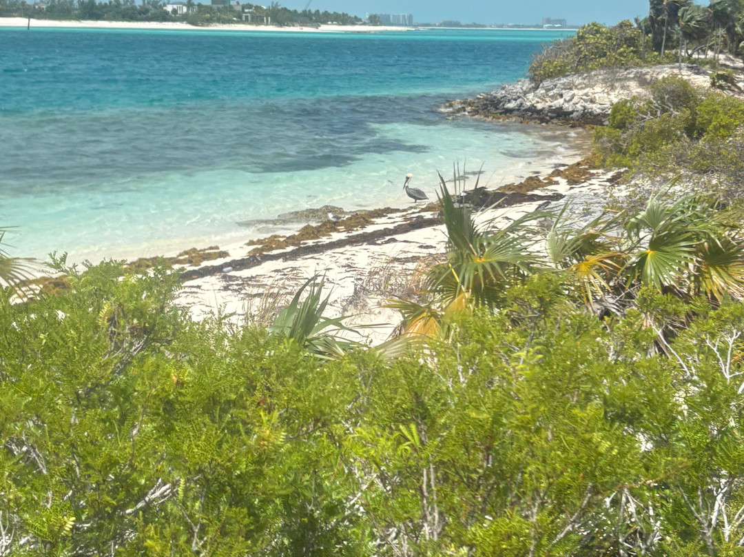 Grace Bay Adventures-格雷斯湾必去景点