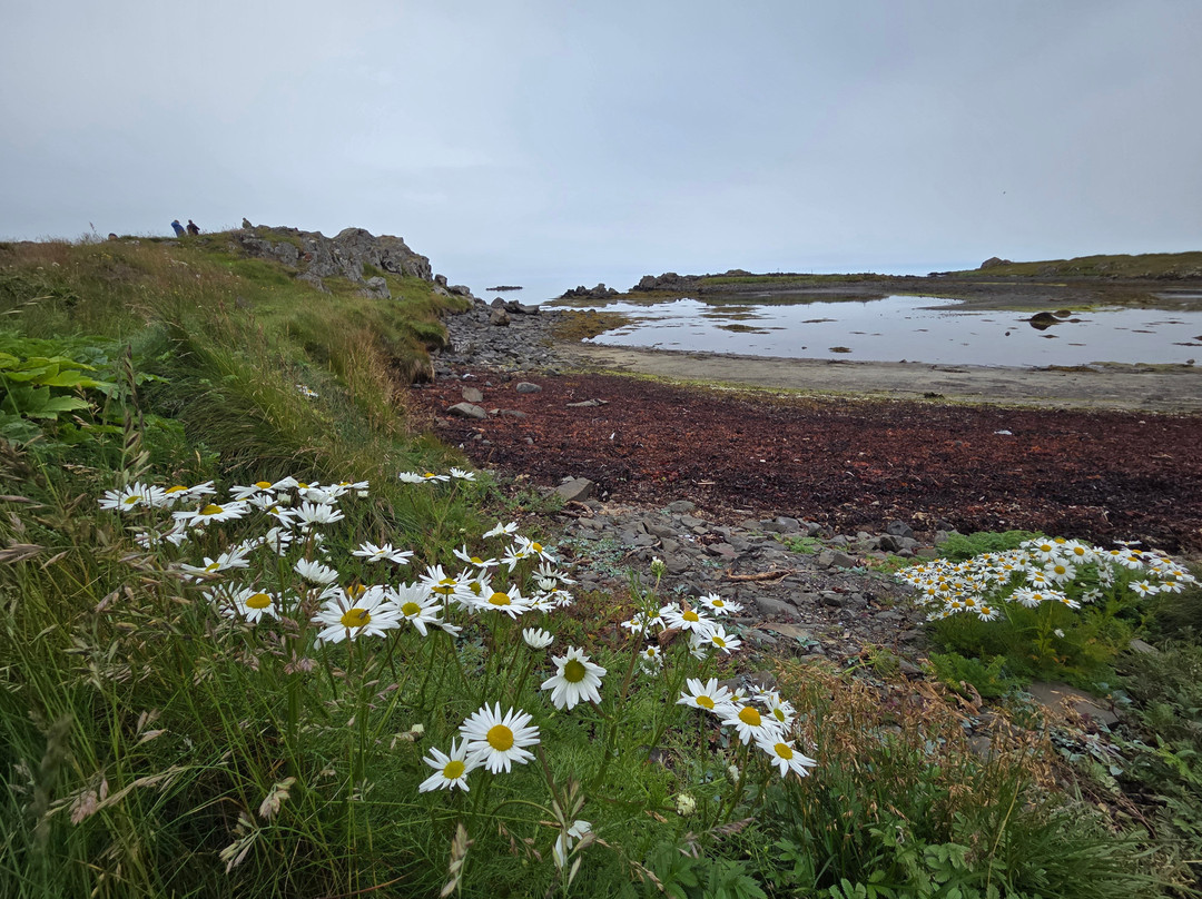 Illugastaðir Farm-Bifrost必去景点