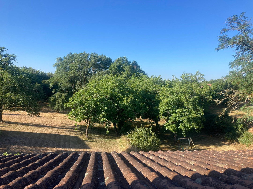 La Noyeraie James Iddon主图