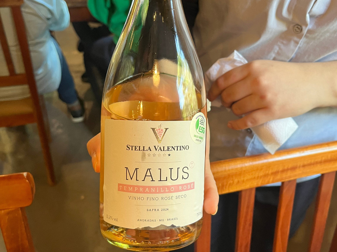 Vinícola Stella Valentino-Andradas必去景点