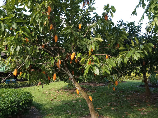 Eco Amazonia Lodge主图