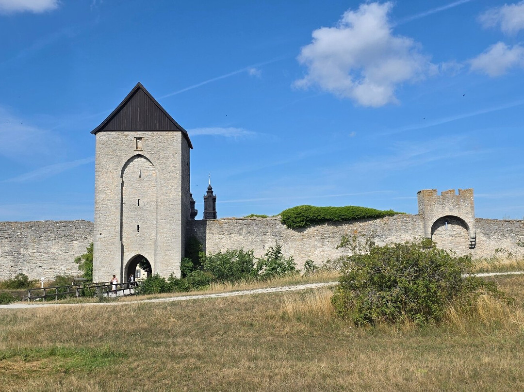 Visby City Wall-维斯比必去景点