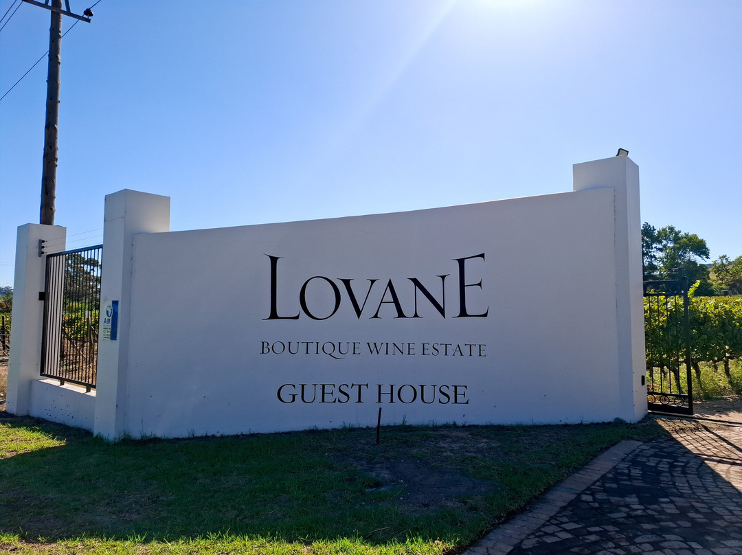 Lovane Boutique Wine Estate主图