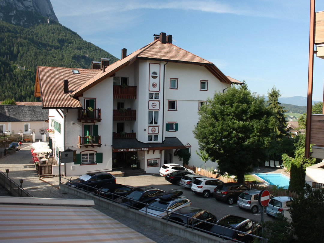 Schwarzer Adler主图