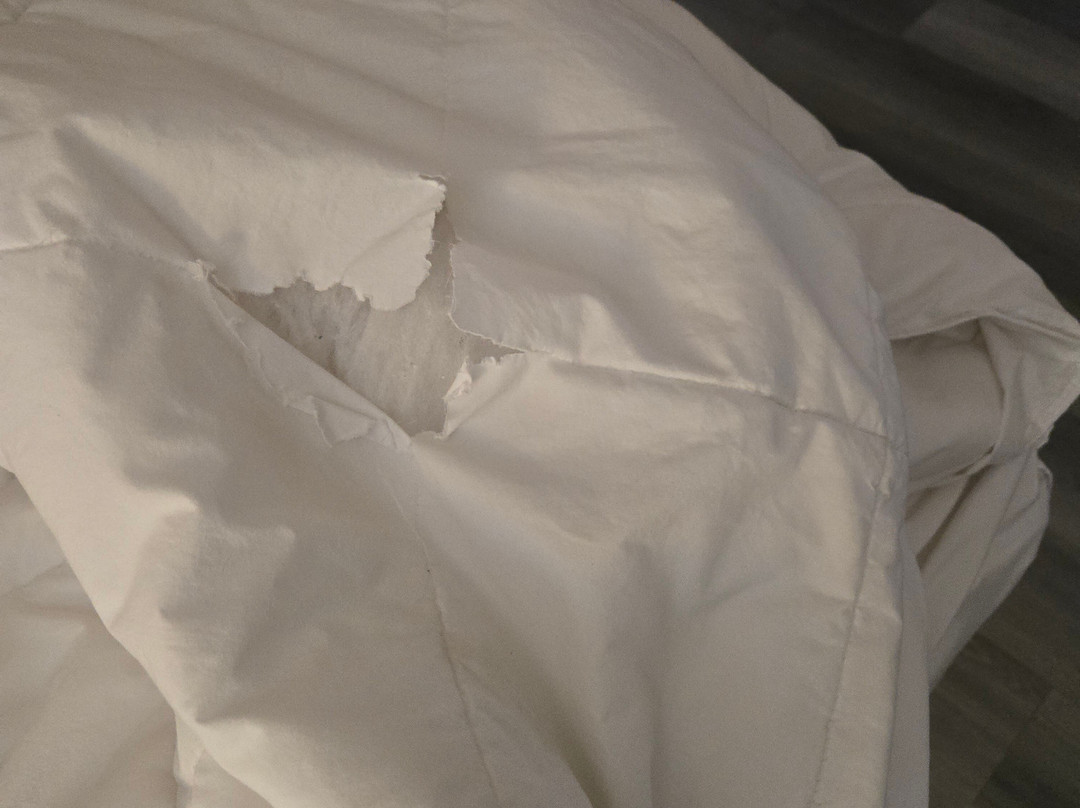 Quality Inn Williamston主图