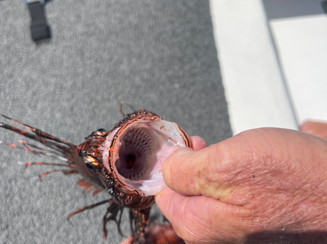 Brac Scuba Shack-Cayman Brac必去景点