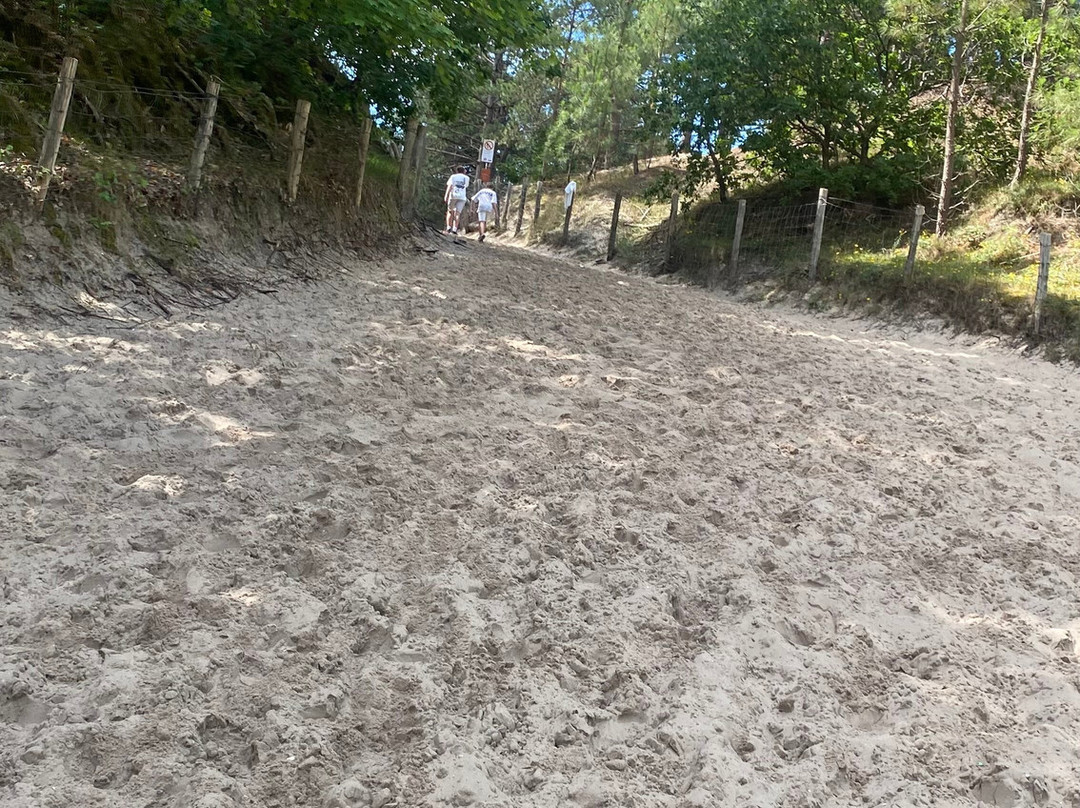 Klimduin-Schoorl必去景点