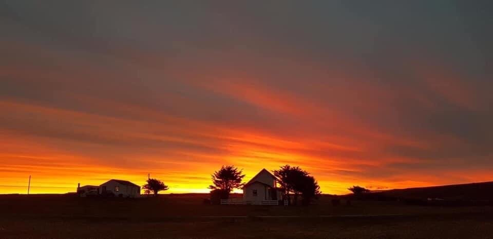 Fitzroy Farm-Darwin必去景点