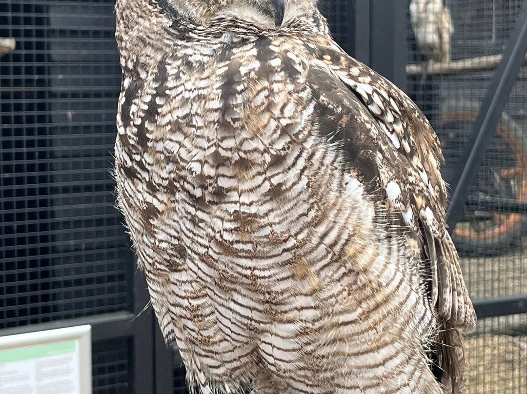 Herring Green Activity Farm-贝德福德必去景点