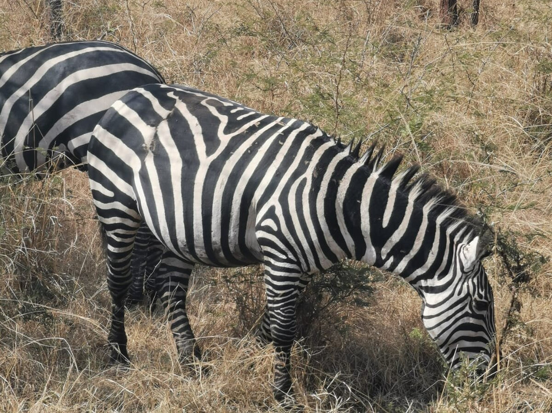 Explore RwandaTours-吉佳利必去景点