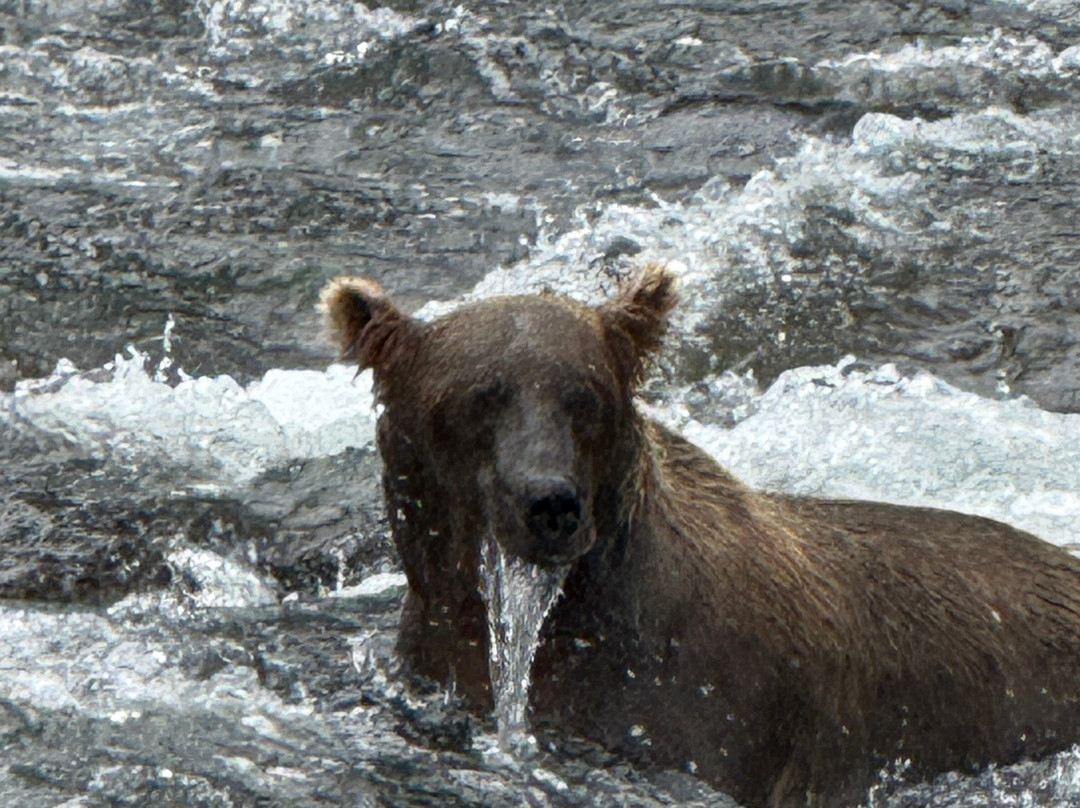 Beryl Air-荷马必去景点