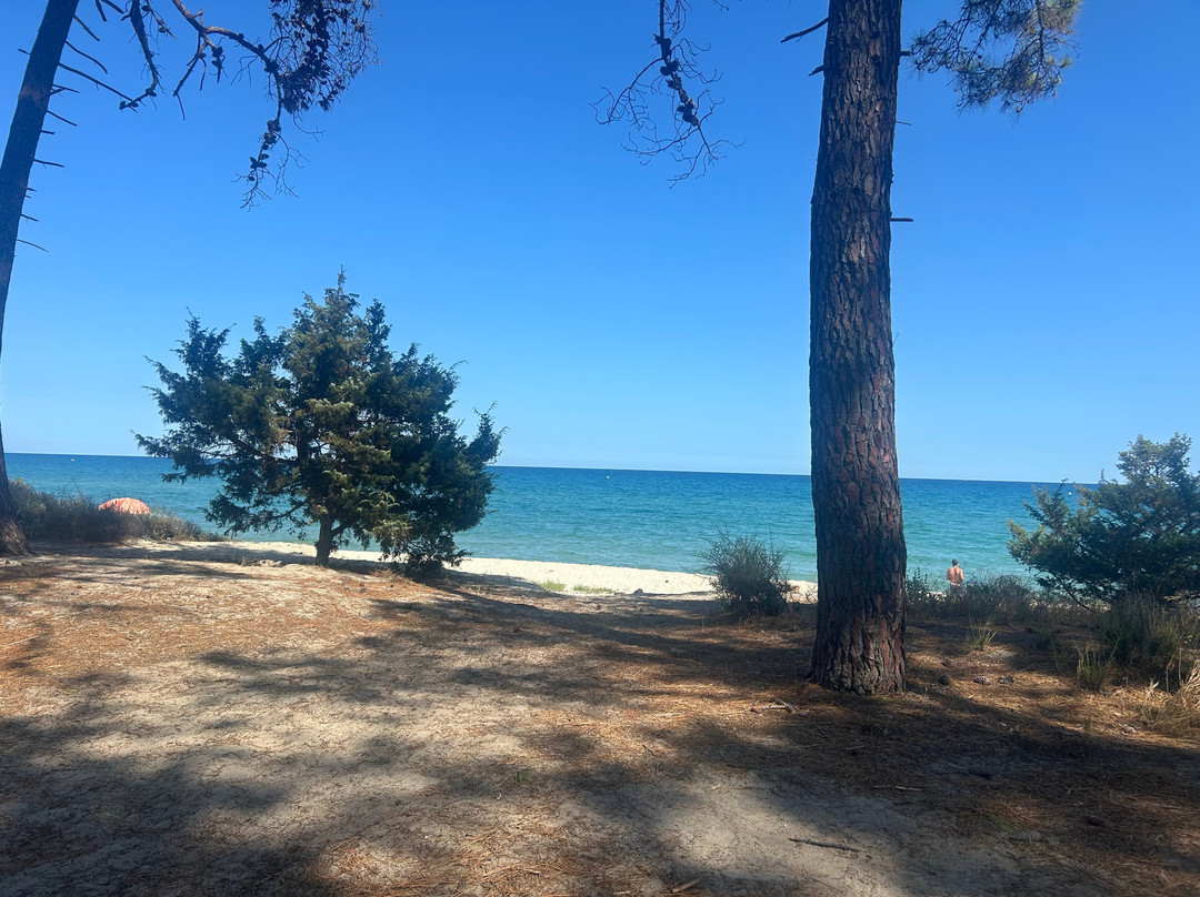 Cross adventures by segway-Ghisonaccia必去景点