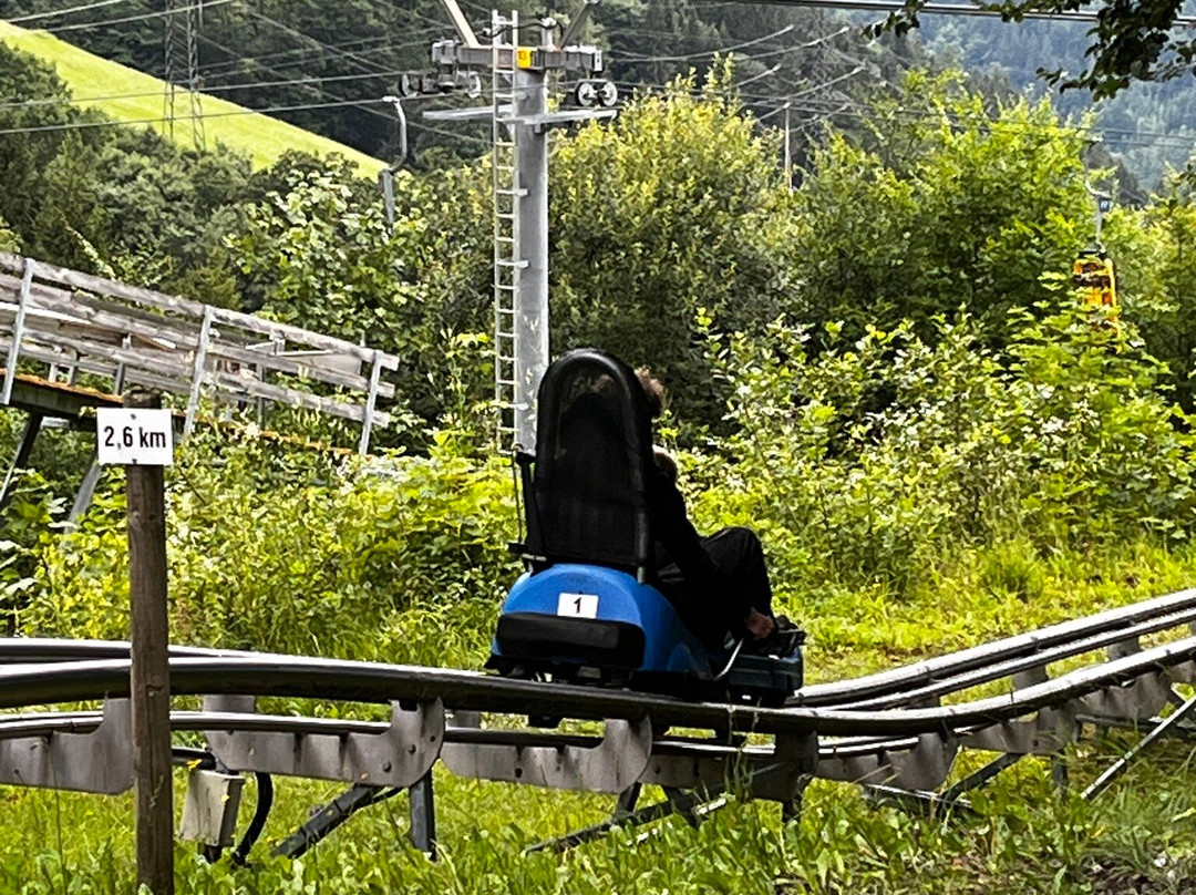 Alpine-Coaster-Golm-Latschau必去景点