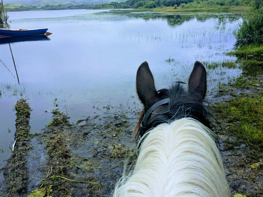 Drummindoo Stud-韦斯特波特必去景点