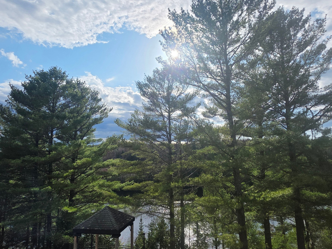 Auberge sur la Falaise主图