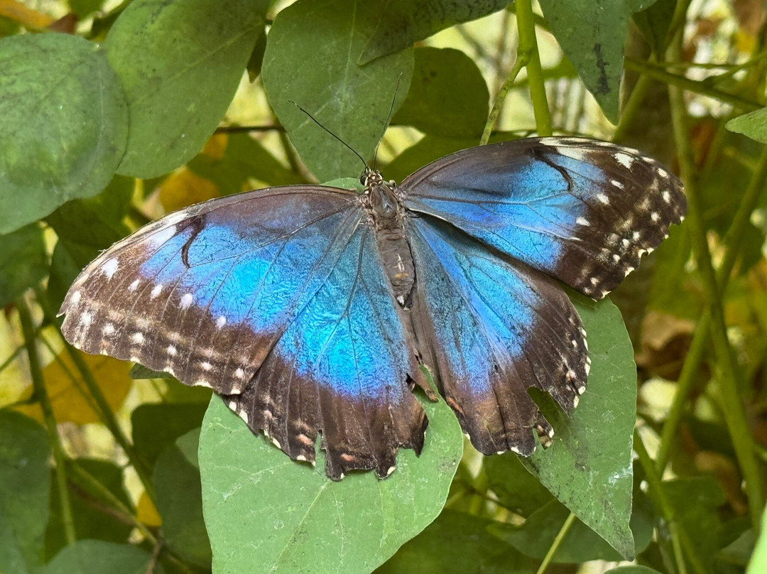 Jardin Botanique du Beau Pays-Marck必去景点