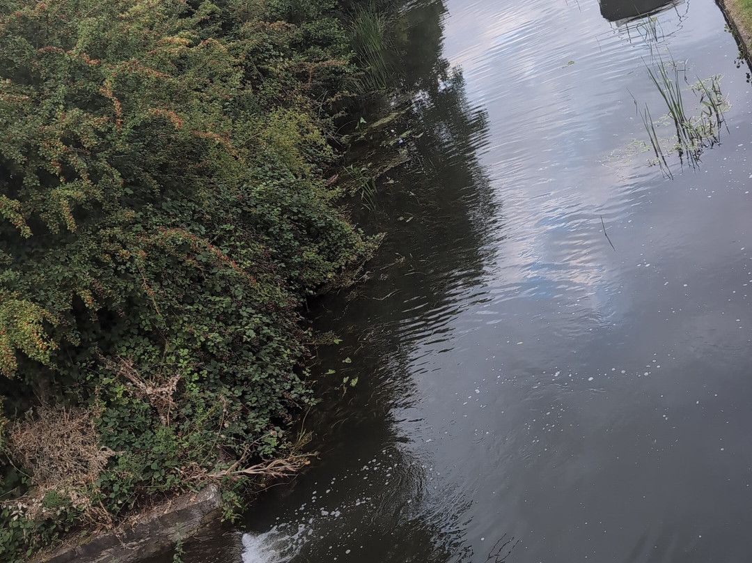 Lock Keeper by Marston's Inns主图