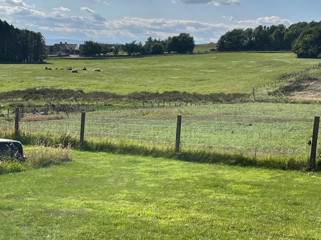 Bissett's Barn - The Rings-库珀必去景点