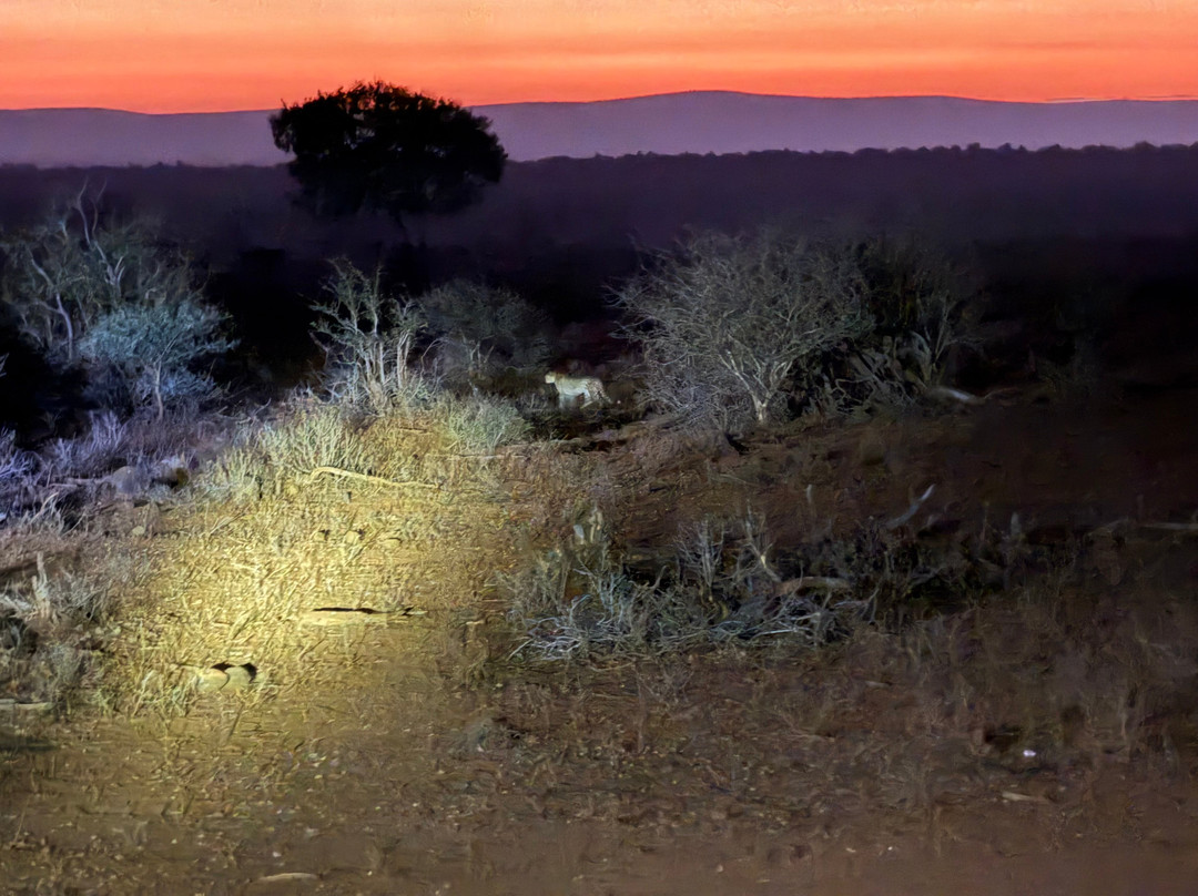 Discover Kruger Safaris-库马堤港必去景点