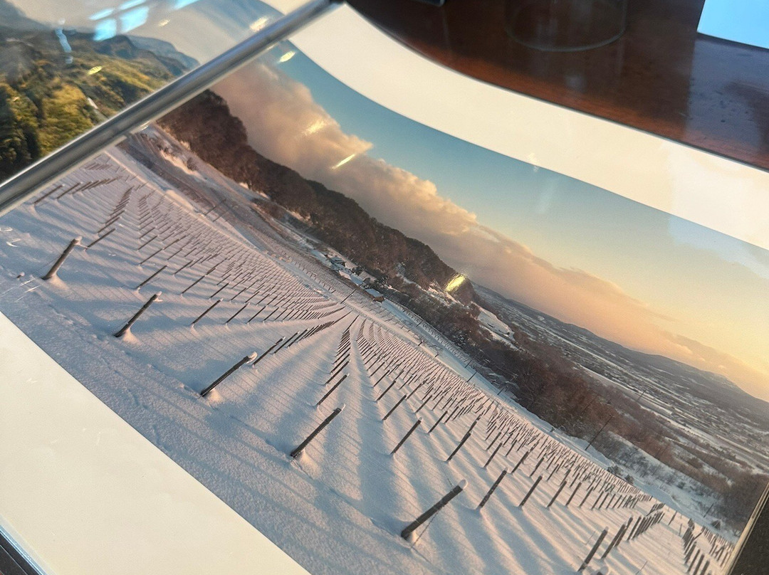 NIKI Hills Winery-仁木町必去景点