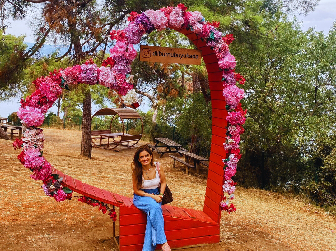 Princes' Islands Tour-Adalar必去景点